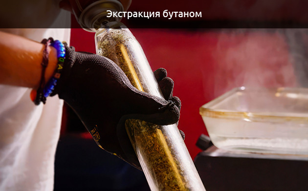 Никки Ти: Эксперименты с концентратами без растворителей