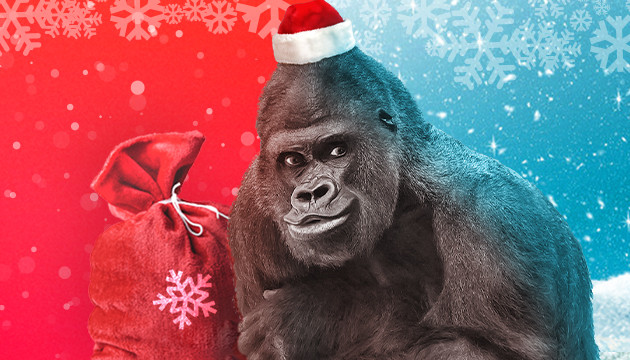 Подарки к Новому году Новогодняя акция