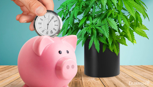 Экономия времени при гровинге