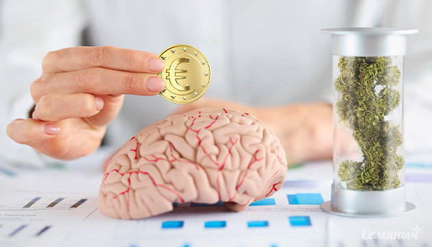 Medical Cannabis Bike Tour выделил 400 тыс. евро на исследование лечения рака каннабисом MCBT выделил 400 тысяч евро на исследования в области лечения рака каннабисом