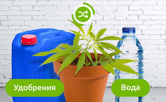 Чередование удобрений и воды