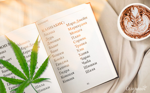 Разные названия конопли Словарь синонимов конопли и каннабиса
