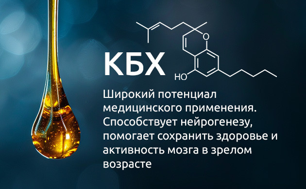 Медицинский потенциал КБХ