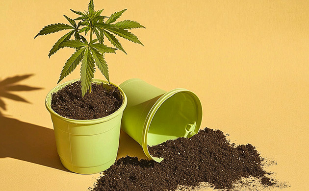 Повторное использование всех инструментов и материалов Повторное использование и переработка