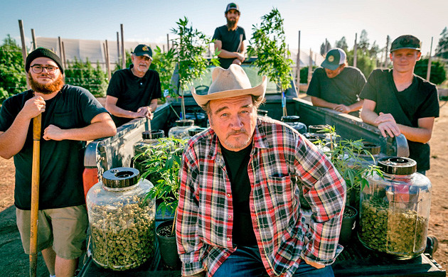 Джеймс Белуши выращивает марихуану Фото с фермы марихуаны Джеймса Белуши