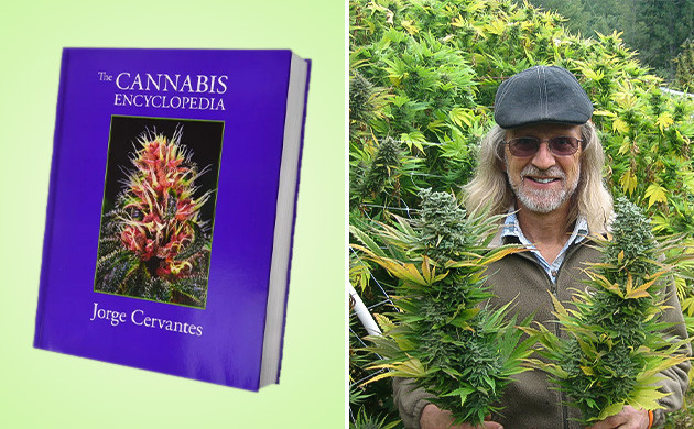 «Библия гровера» и Хорхе Сервантес