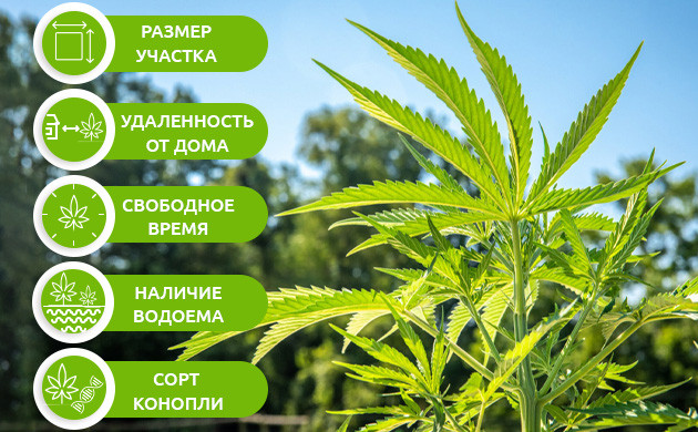 Факторы влияющие на количество выращиваемого урожая