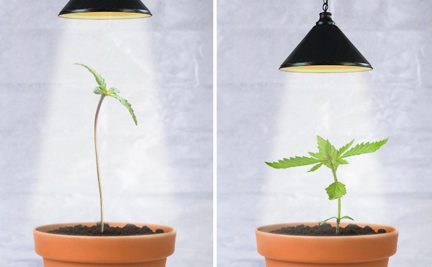 Подбор правильного освещения