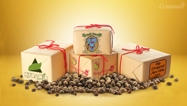 Больше бонусных семян марихуаны при заказе Бонусные семена конопли