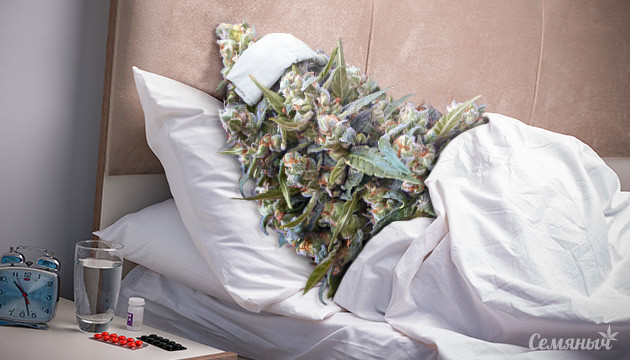 Больной каннабис