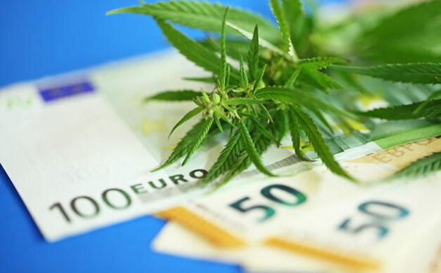 Влияние каннабис-клубов на экономику и общество