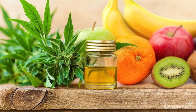 Полезные сорта конопли Каннабис и фрукты