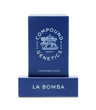 La Bomba fem (Compound Genetics)