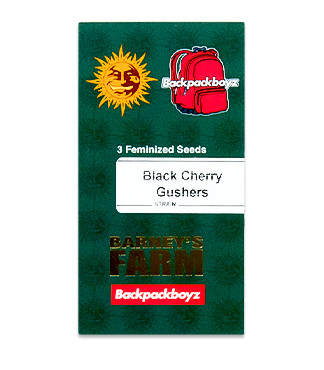 Black Cherry Gushers fem (Barney's Farm)