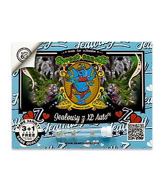 Jealousy Z XL Auto fem (Sweet Seeds)