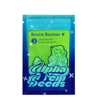 Bruce Banner # fem (AlphaFem Seeds)