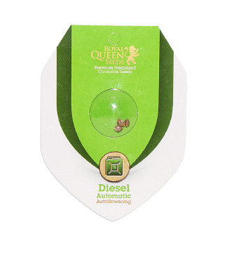 Diesel Automatic fem (RQS)