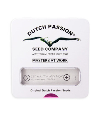 CBD Auto Charlotte’s Angel fem (Dutch Passion)