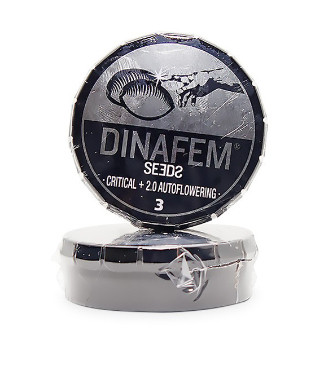 Critical + 2.0 Autoflowering fem (Dinafem Seeds)