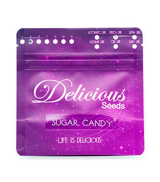 Sugar Candy fem (Delicious Seeds)