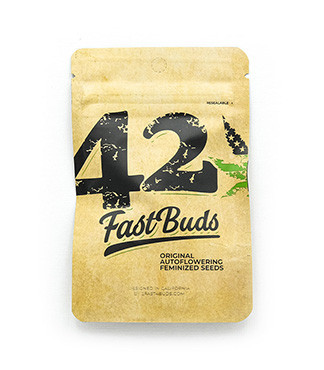 Original Trainwreck Auto fem (FastBuds)