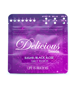 Sugar Black Rose Early Version fem (Delicious Seeds)