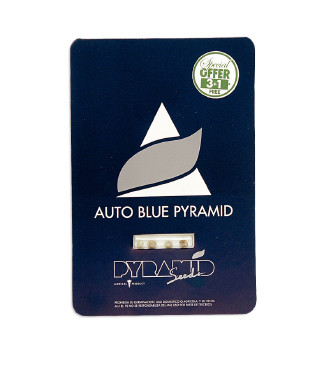 Auto Blue Pyramid fem (Pyramid Seeds)