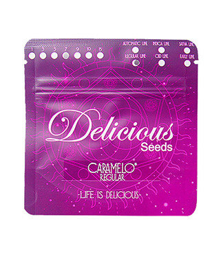 Caramelo regular (Delicious Seeds)