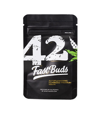 Wedding Glue Auto fem (FastBuds)