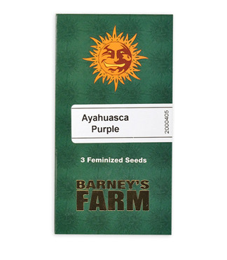 Ayahuasca Purple fem (Barney's Farm)