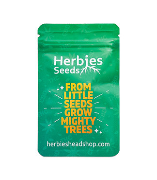 Runtz Punch fem (Herbies Seeds)