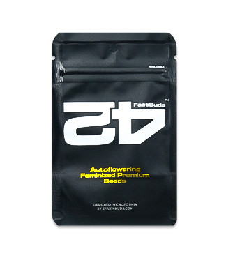 Orange President Auto fem (FastBuds)