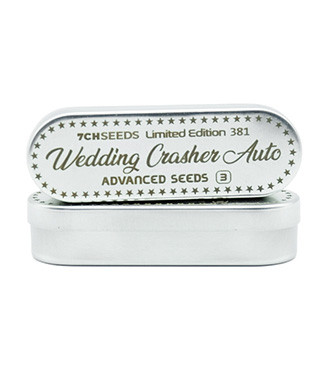 Wedding Crasher Auto fem (7CH Seeds & Advanced Seeds)