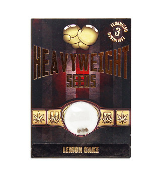 Lemon Cake fem (Heavyweight Seeds)