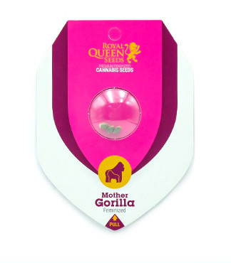 Mother Gorilla (Royal Madre) fem (RQS)