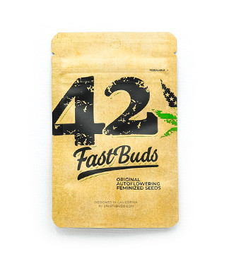 Original Moby Dick Auto fem (FastBuds)