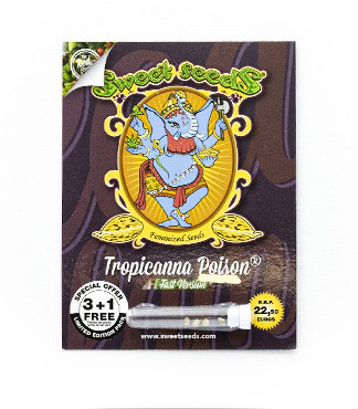 Tropicanna Poison F1 Fast Version fem (Sweet Seeds)