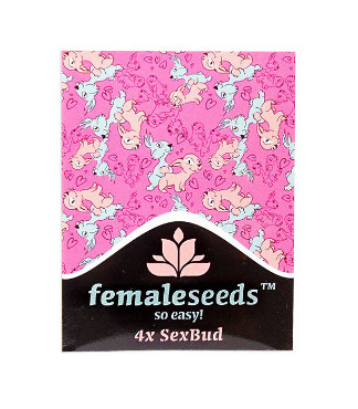 SexBud fem (Female Seeds)