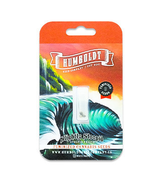 Slightly Stoopid Fruits fem (Humboldt Seed Company)