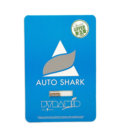 Семена сорта Auto Shark fem (Pyramid Seeds)