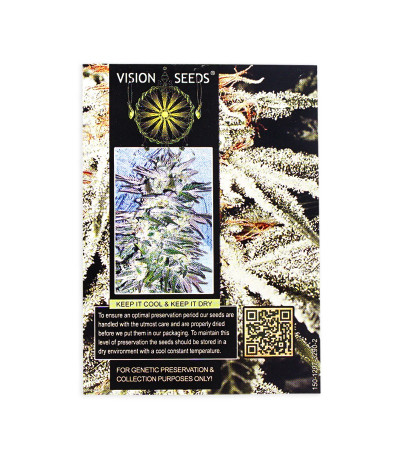 Семена сорта Russian Snow fem (Vision Seeds)