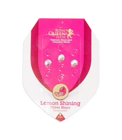 Семена сорта Lemon Shining Silver Haze (Lemon Haze) fem