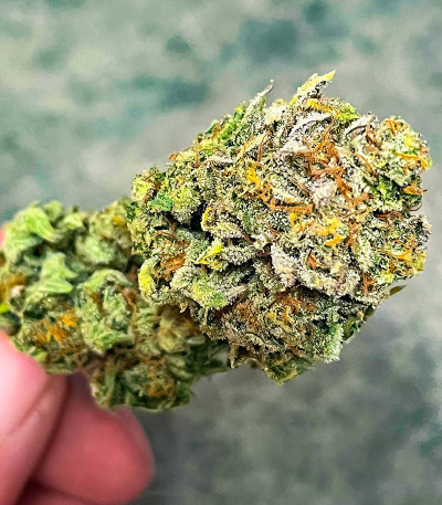 Семена сорта Bruce Banner #3 Auto fem (Herbies Seeds)