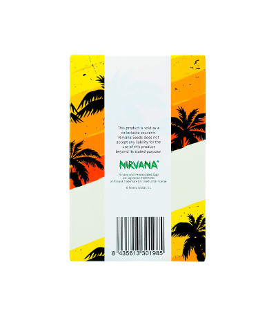 Семена сорта Lemon OG Haze Automatic fem (Nirvana Seeds)