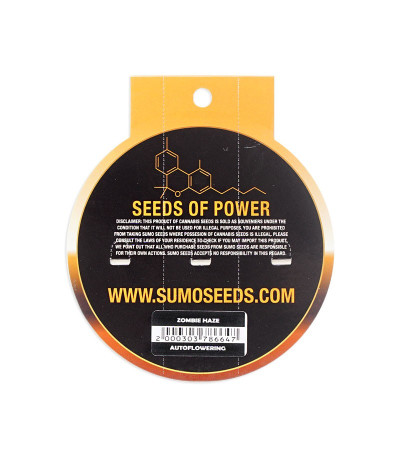 Семена сорта Zombie Haze Auto fem (Sumo Seeds)