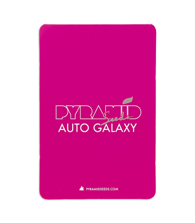 Семена сорта Auto Galaxy fem (Pyramid Seeds)