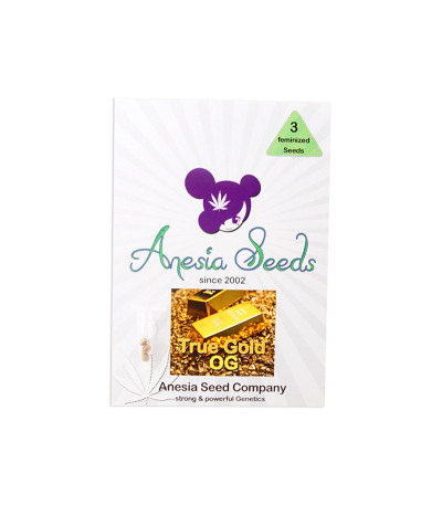 Семена сорта True Gold OG fem (Anesia Seeds)