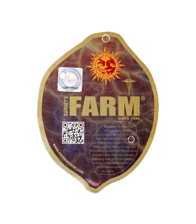 Семена сорта CBD Critical Cure fem