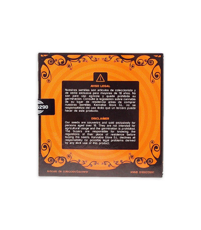 Семена сорта Faraona (Gypsy Kush) fem