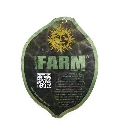 Семена сорта Violator Kush fem (Barney's Farm)